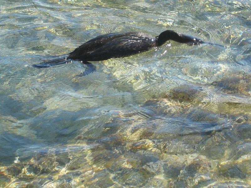 sardegna 2008 041